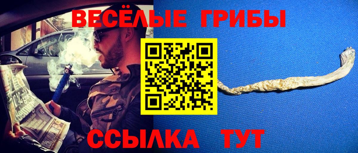 Псилоцибиновые грибы MAGIC MUSHROOMS Сланцы